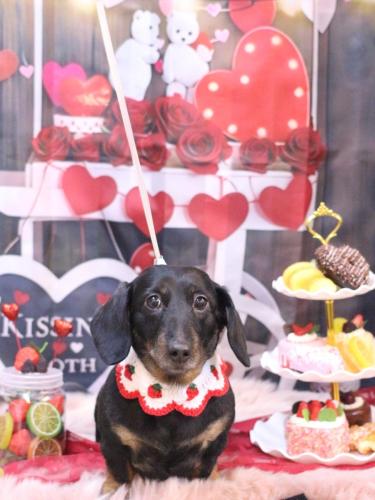 20250202らんちゃん